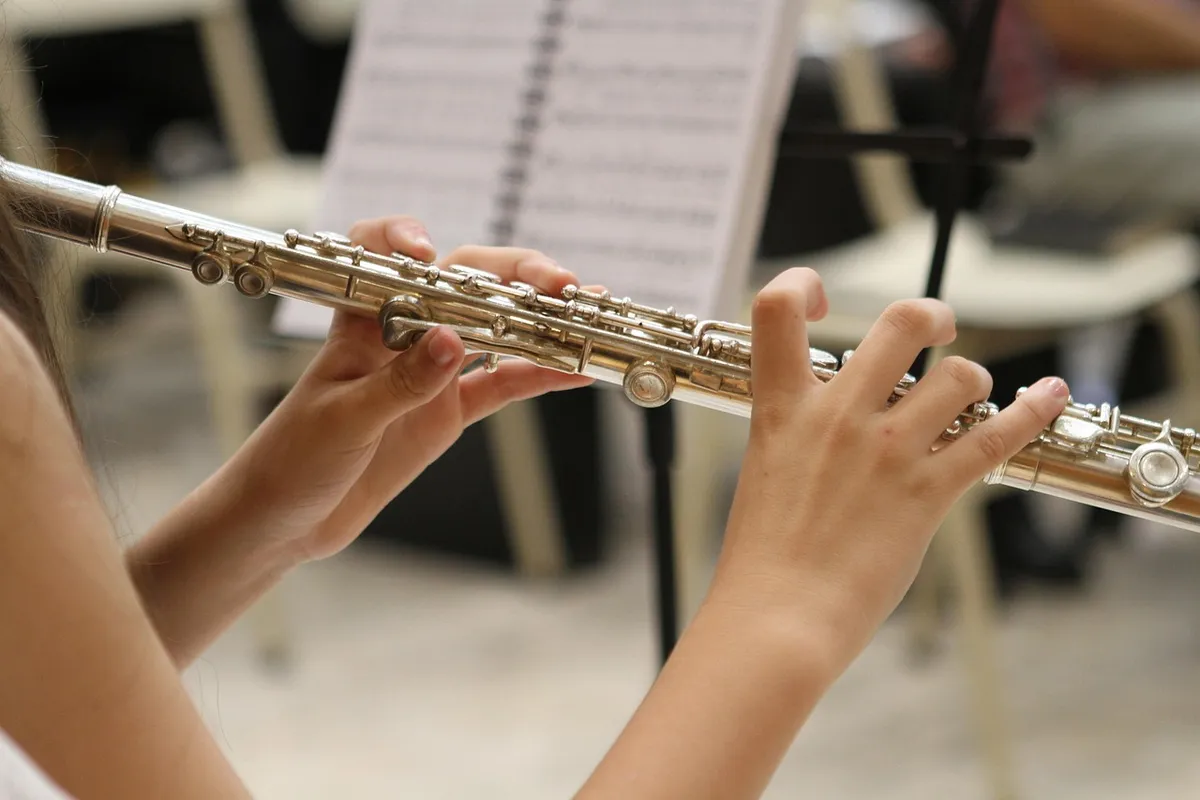 music, jazz, flute, musician, instrument, sound, orchestra, concert, band, player, classical music, hands, playing, young, classical, musical, melody, artist, w