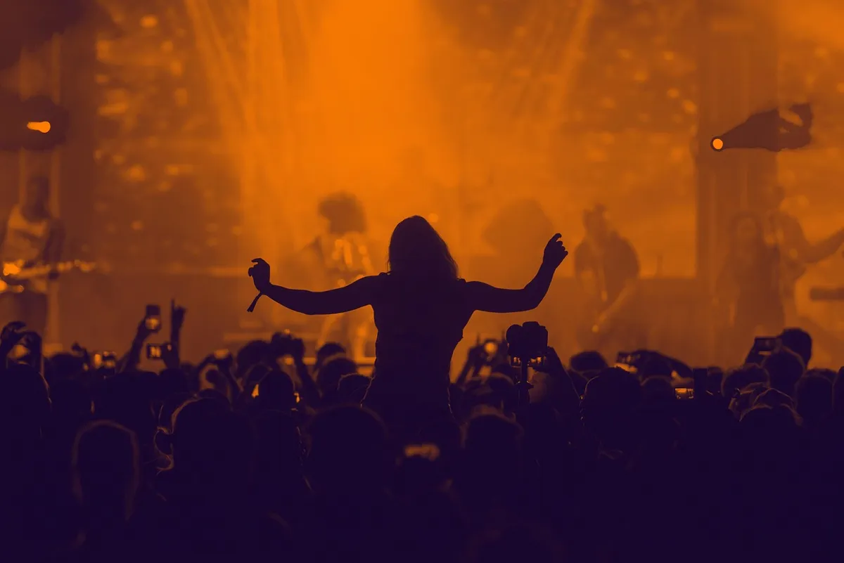 concert, crowd, silhouette, music festival, festival, live performance, stage performance, people, audience, performance, party, concert, concert, concert, crow