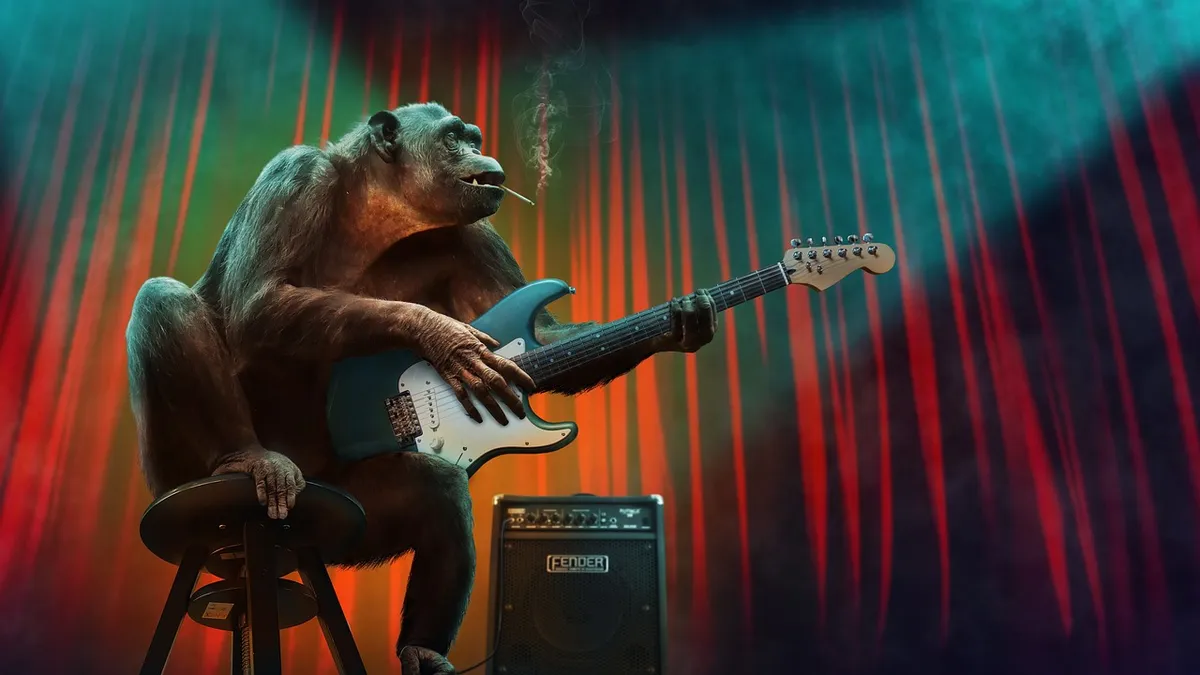 monkey, music, concert, guitar, stage, amplifier, electric guitar, nature, animal, mammal, primate, chimpanzee