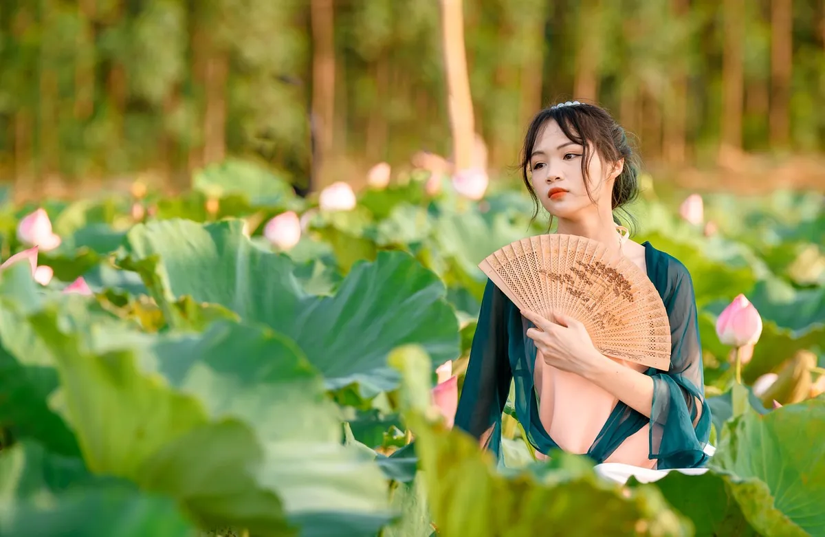 woman, flower wallpaper, model, flowers, lotus flowers, nature, fan, pond, flower background, bloom, beautiful flowers, style