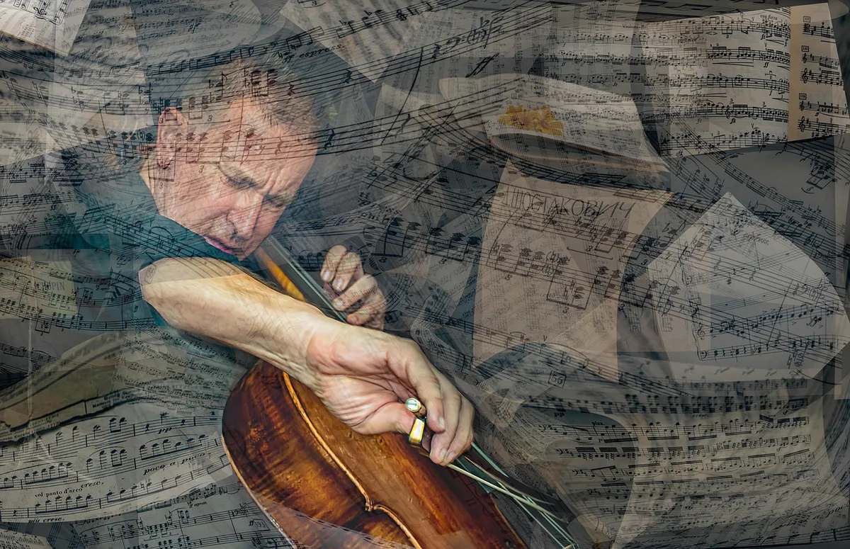 music, cello, artist, performance, musician, cellist, soloist, talent, skill, symphony, palm, playing cello, classical music, strings, sound, string, play, jazz