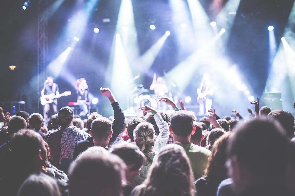 audience, band, celebration, concert, crowd, festival, lights, music, musician, nightlife, party, people, performance, singer, stage, band, concert, concert, co