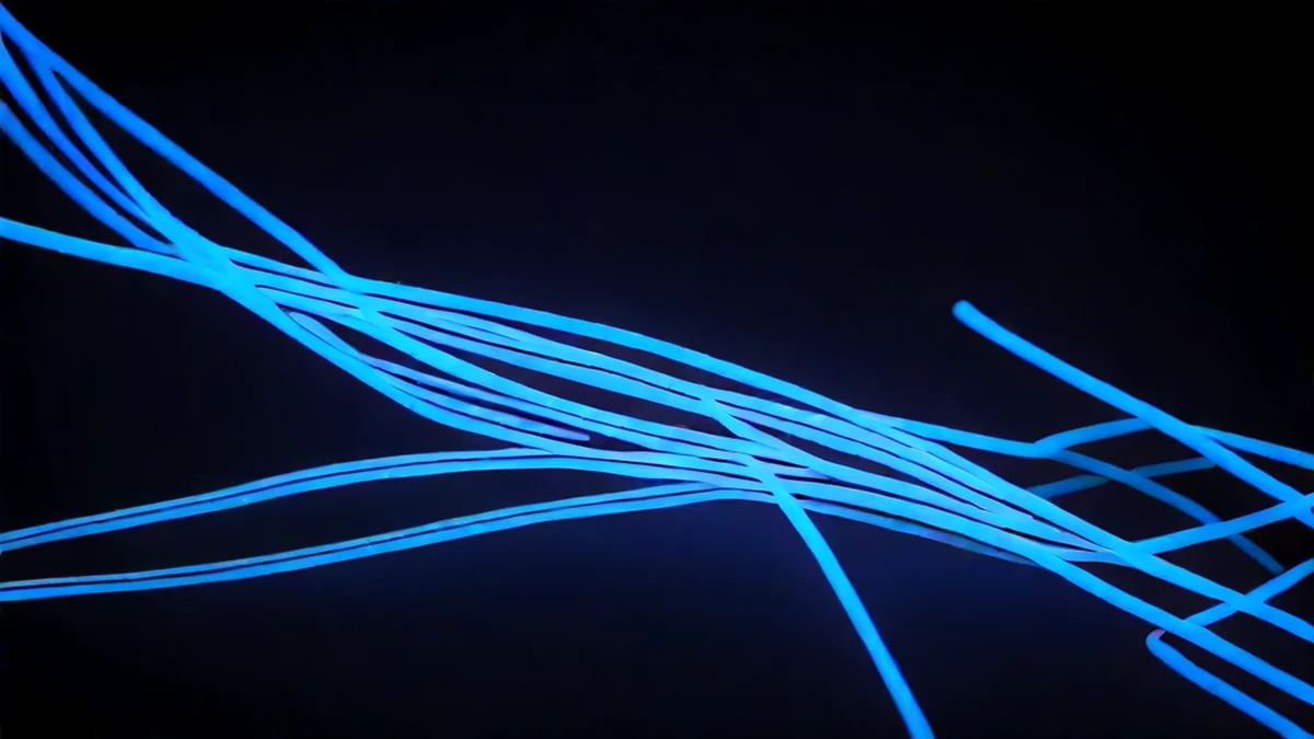 Cables ópticos de fibra emitem uma suave luz azul sob luz UV.
